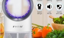Fly Trap for Indoors: Ultimate Solution to Keep Your Home Pest-Free