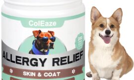 Dog Allergy Chews: Ultimate Itch Relief Solution for Your Furry Friend