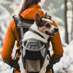 Dog Backpack Carrier: The Ultimate Travel Essential for Pet Owners