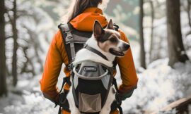 Dog Backpack Carrier: The Ultimate Travel Essential for Pet Owners